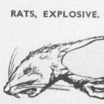 ExplodingRat