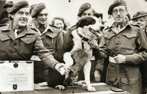 Rob the Dog